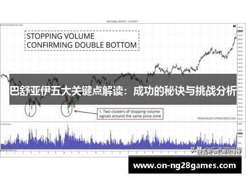 巴舒亚伊五大关键点解读：成功的秘诀与挑战分析